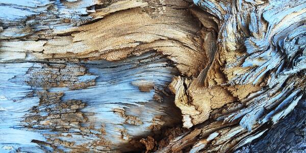 5 Free & Open Source SQL Server Management Studio Alternatives for 2025