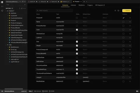 Spalten, Typen und Standardwerte einer SQL Server-Tabelle in Beekeeper Studio