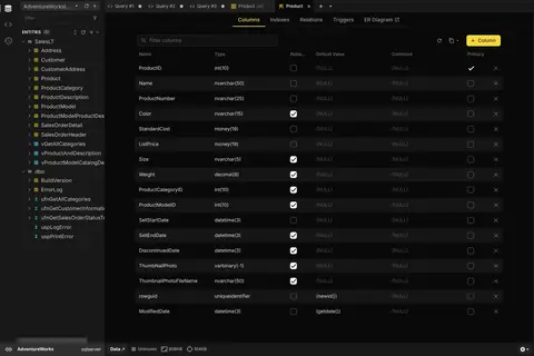 A SQL Server table's columns, types, and defaults in Beekeeper Studio