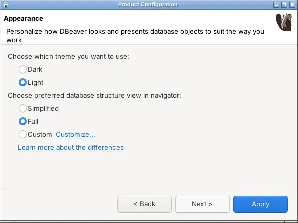 Wizard Product Configuration DBeaver yang meminta pilihan tema terang atau gelap dan tampilan navigator Simplified, Full, atau Custom