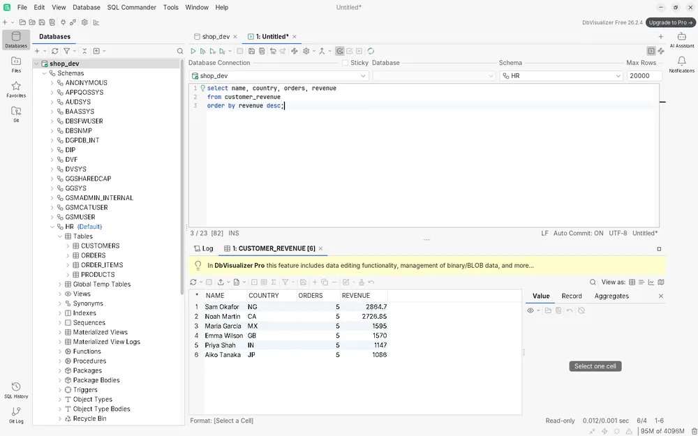 DbVisualizer Free connesso a Oracle, con l'albero degli schemi, SQL Commander e una griglia dei risultati