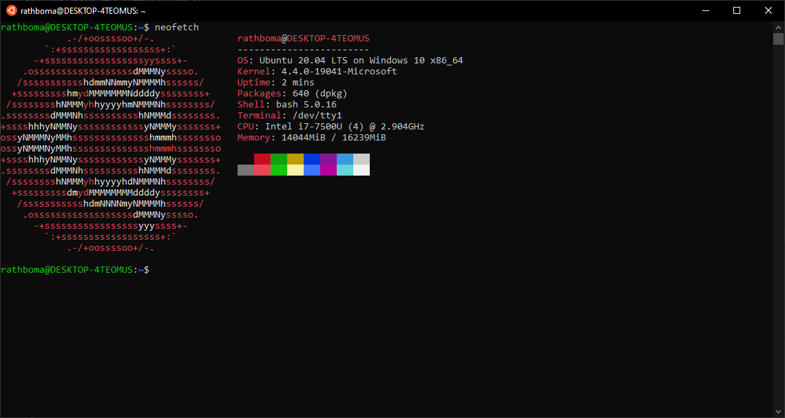 Does not recognize shared databases on the WSL2 network · Issue